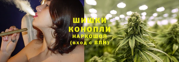 наркотики Бородино