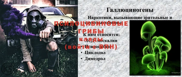наркотики Бородино