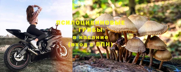винт Бронницы