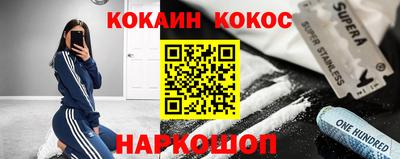 дмт Кингисепп