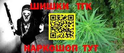 дмт Кингисепп