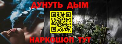 дмт Кингисепп