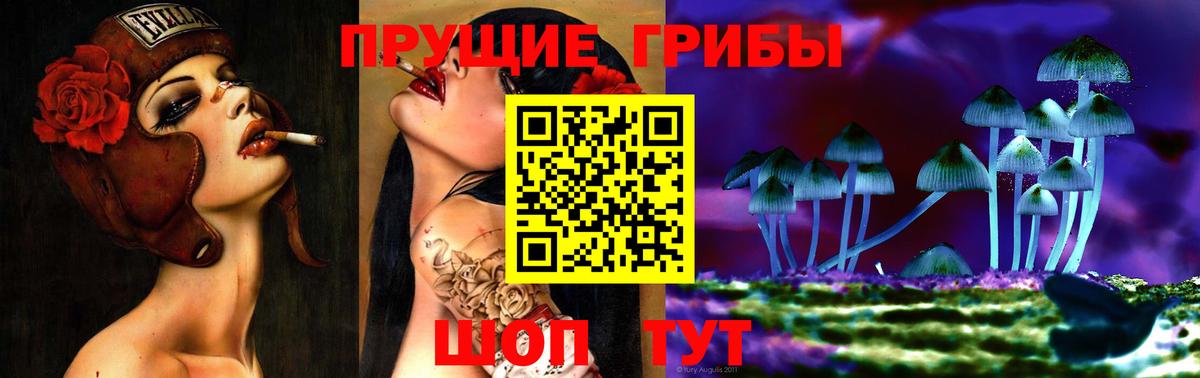 Москва  наркошоп  Вход с VPN  Псилоцибиновые грибы Psilocybine cubensis 